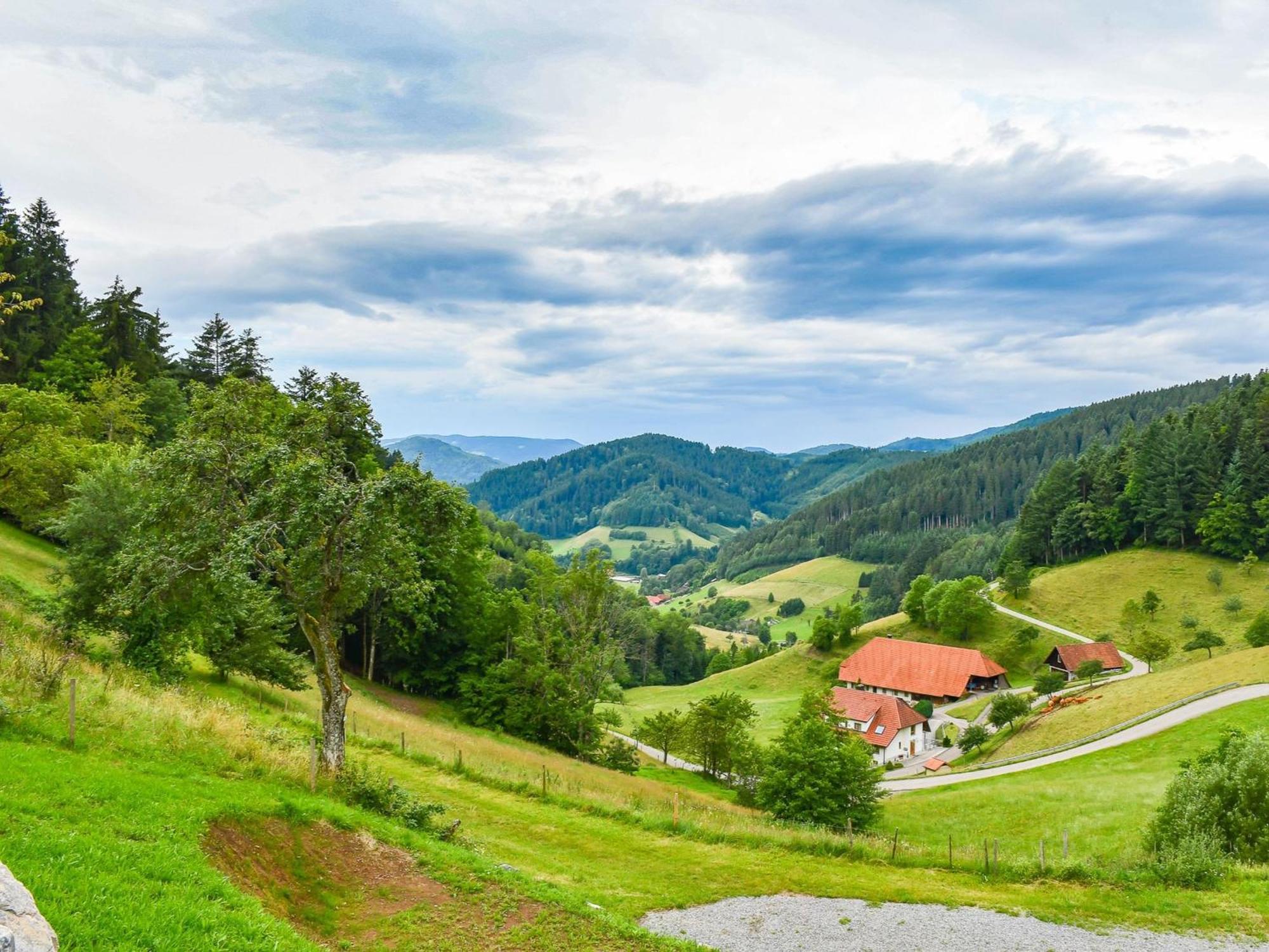 Ferienhaus Wendelinus Mit Pool & Sauna Hausach Esterno foto