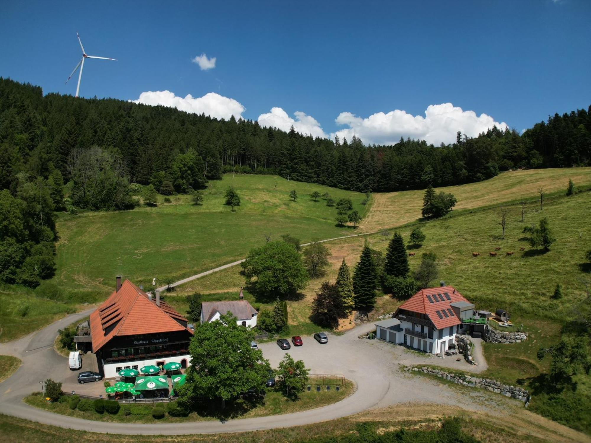 Ferienhaus Wendelinus Mit Pool & Sauna Hausach Esterno foto